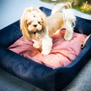 Premium Κρεβάτι σκύλου SoftColor Navy Blue Small (65x55x15 εκ.)