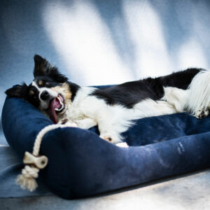 Premium Κρεβάτι σκύλου SoftColor Navy Blue Large (85x75x15 εκ.)