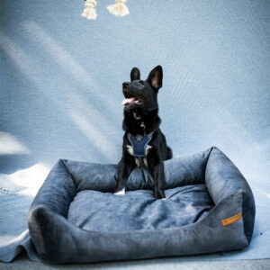 Premium Κρεβάτι σκύλου SoftColor Navy Blue Medium (75x65x15 εκ.)